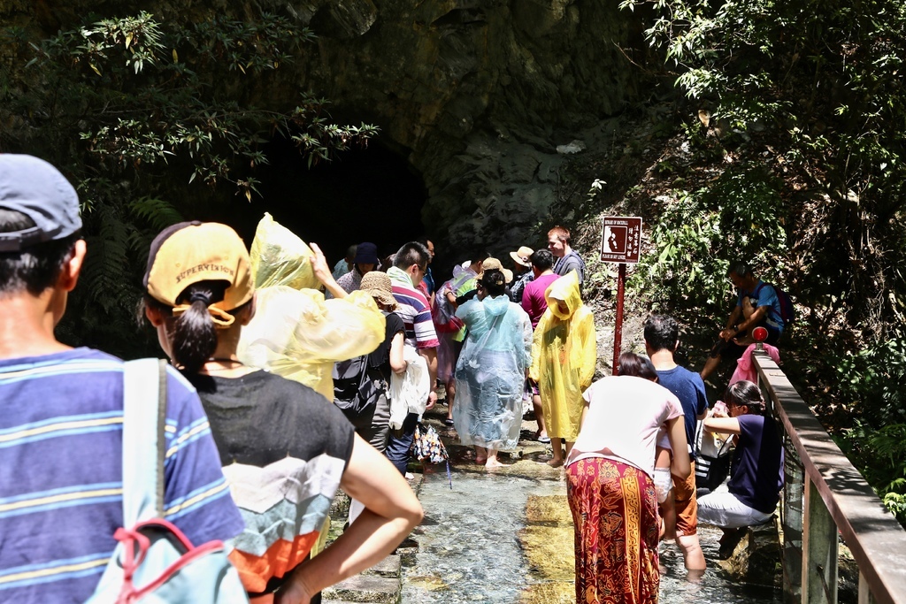 白楊步道 白楊步道