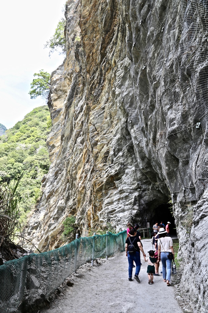 白楊步道 白楊步道