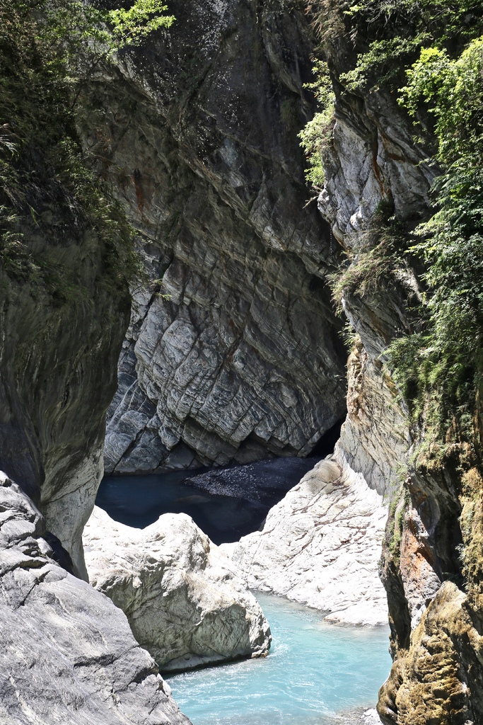 白楊步道 白楊步道