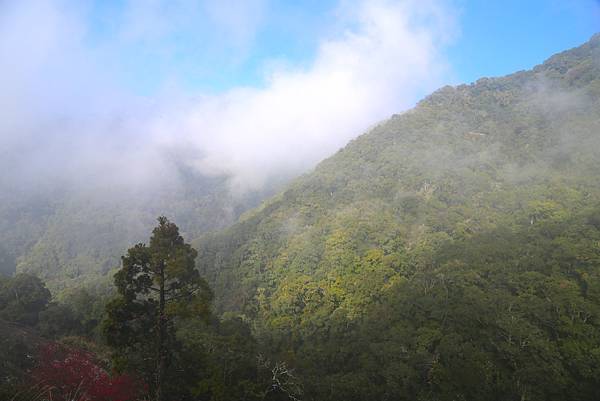 拉拉山賞雪