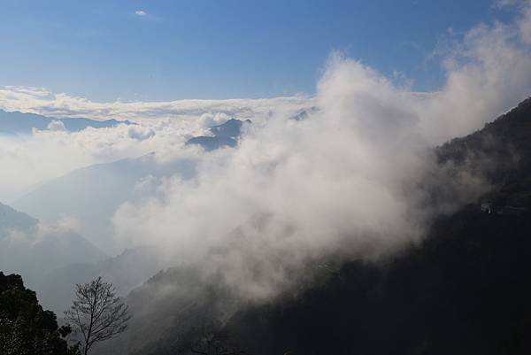 拉拉山賞雪