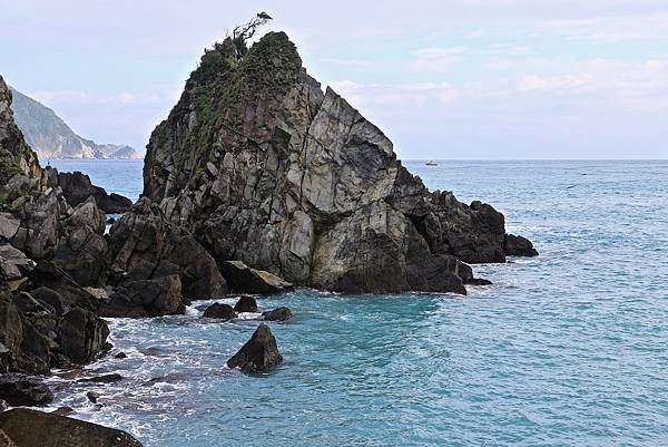 東澳粉鳥林