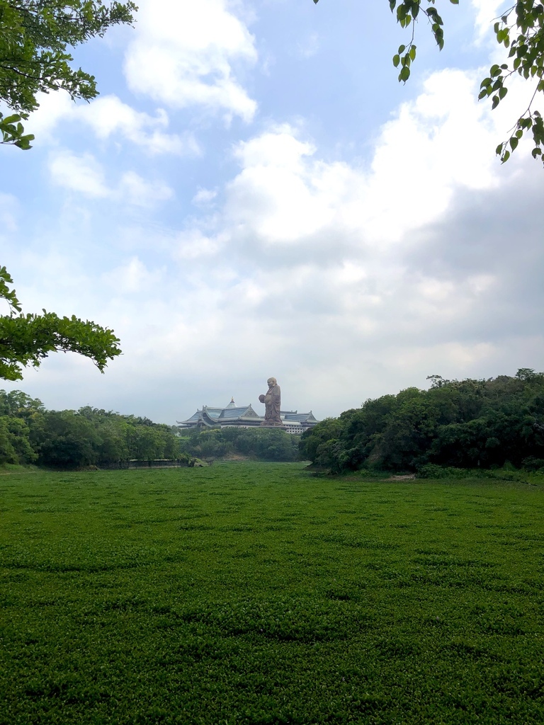 大埔水庫 大埔水庫