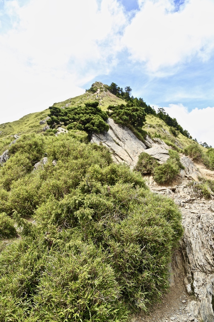 合歡山看雲2020 合歡山看雲2020