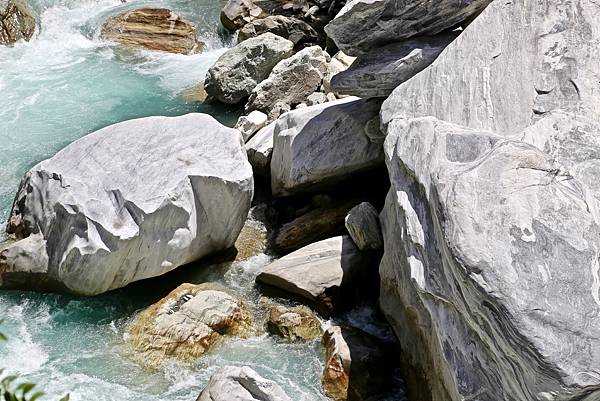 白楊步道 白楊步道