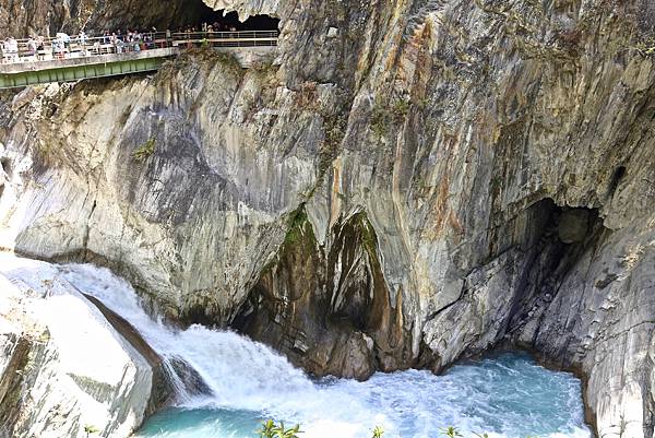 白楊步道 白楊步道
