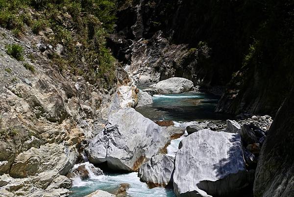 白楊步道 白楊步道