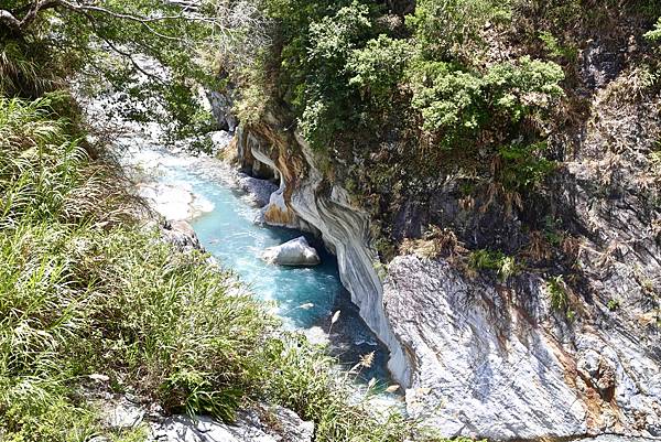 白楊步道 白楊步道