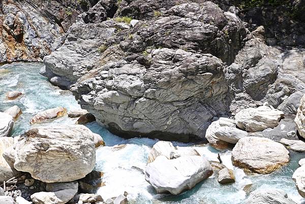 白楊步道 白楊步道