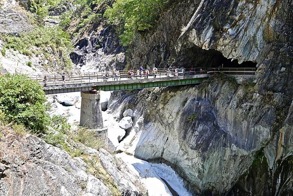白楊步道 白楊步道