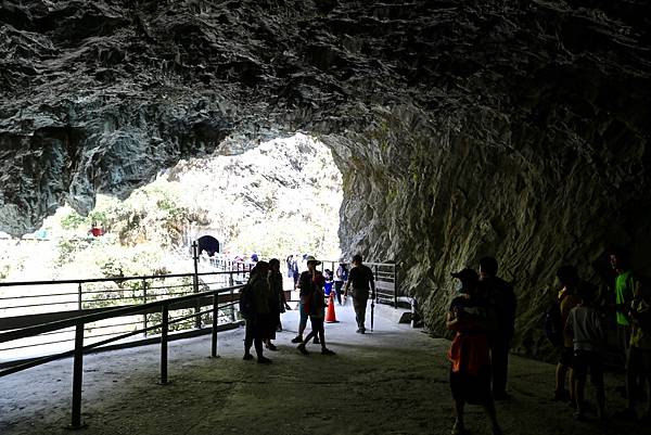 白楊步道 白楊步道