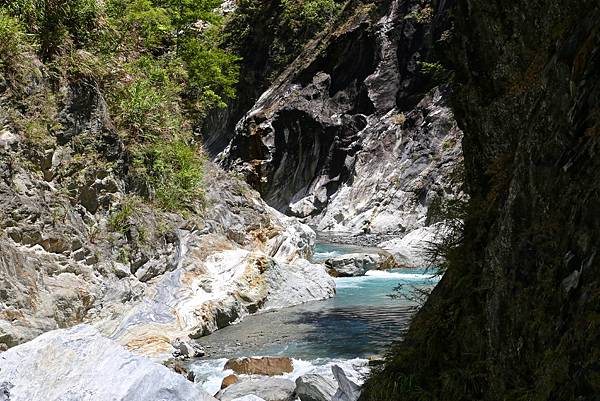 白楊步道 白楊步道