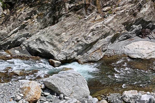 白楊步道 白楊步道