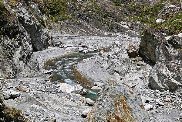 白楊步道 白楊步道