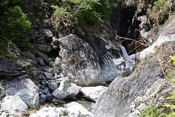 白楊步道 白楊步道
