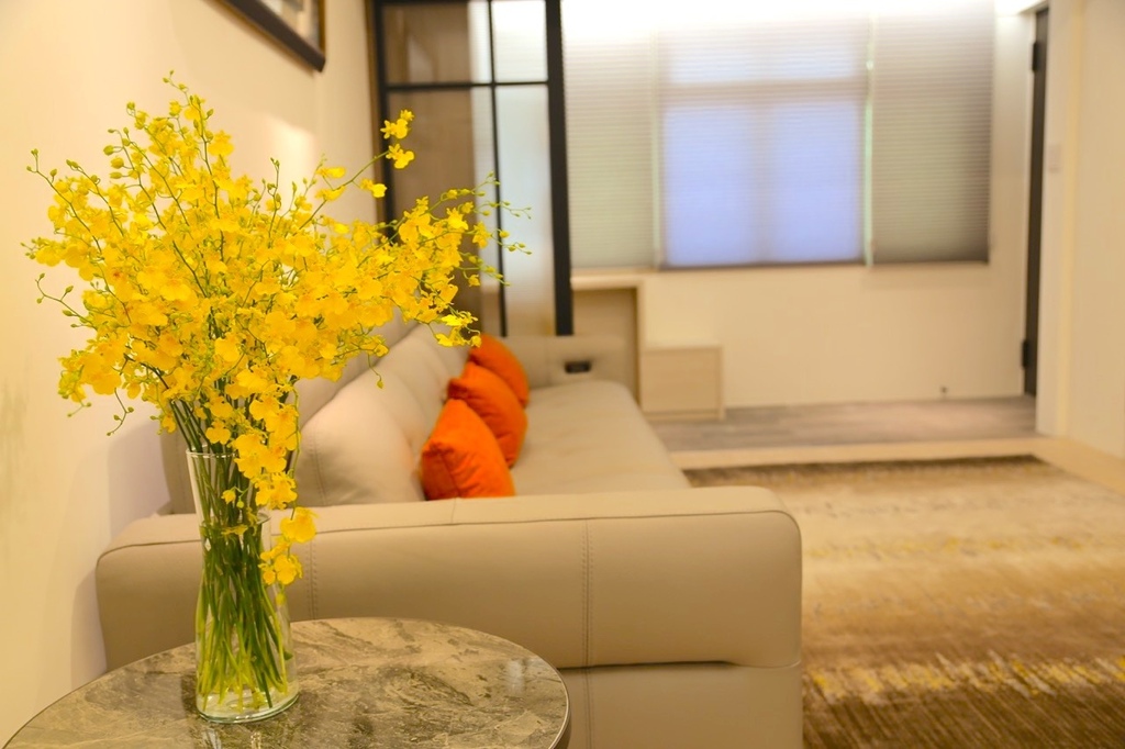 IMG_3608 Large.jpeg IMG_3608 Large.jpeg