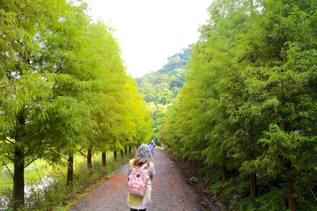 IMG_5554 台北桃園新北美食三峽鳶山紅樓無菜單高級餐廳龍蝦海鮮牛排聚餐合菜.jpeg