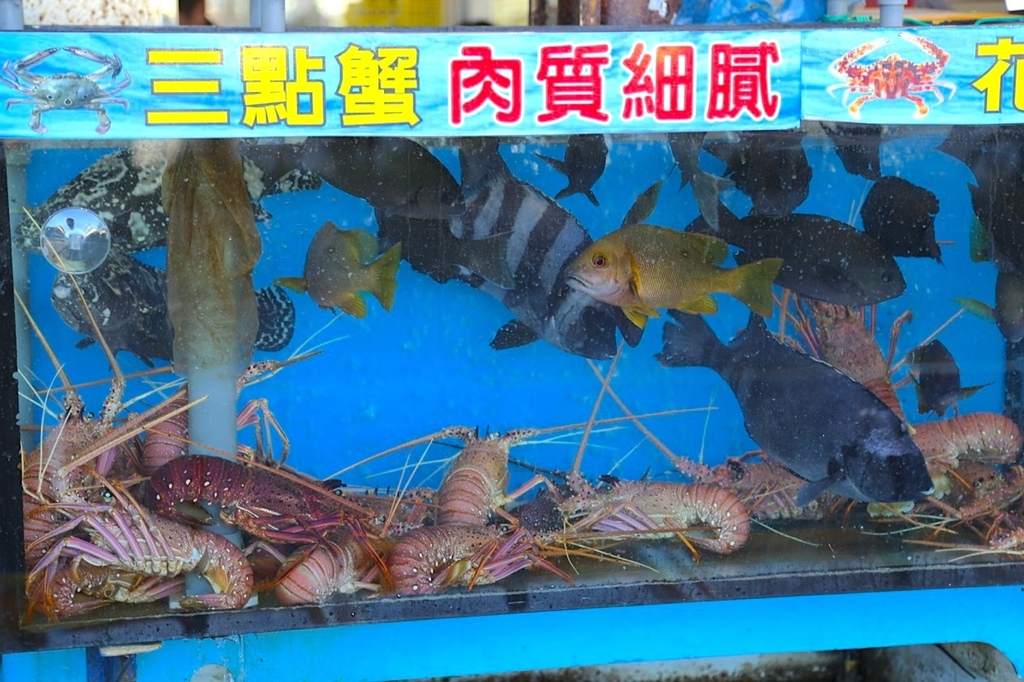 阿杰萬里蟹IMG_8774.jpeg 阿杰萬里蟹IMG_8774.jpeg