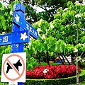 _MG_0198.JPG