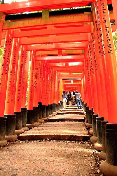_MG_0652.JPG _MG_0652.JPG