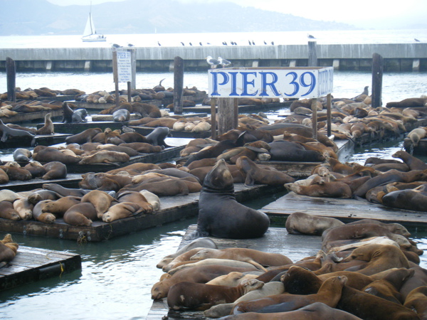 DSCF4544.JPG