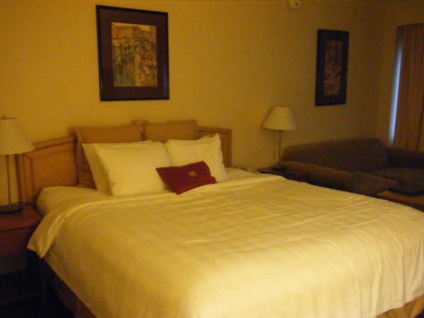 DSCF4549.JPG