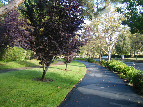 DSCF4576.JPG