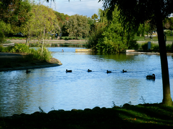 DSCF4580.JPG