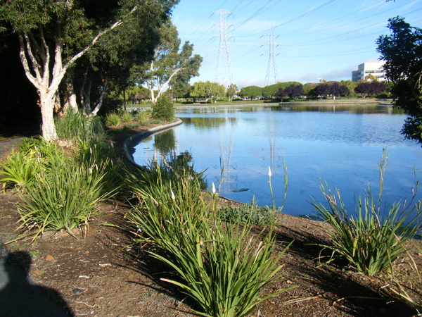 DSCF4581.JPG