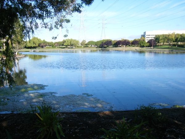 DSCF4582.JPG
