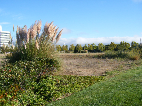 DSCF4583.JPG