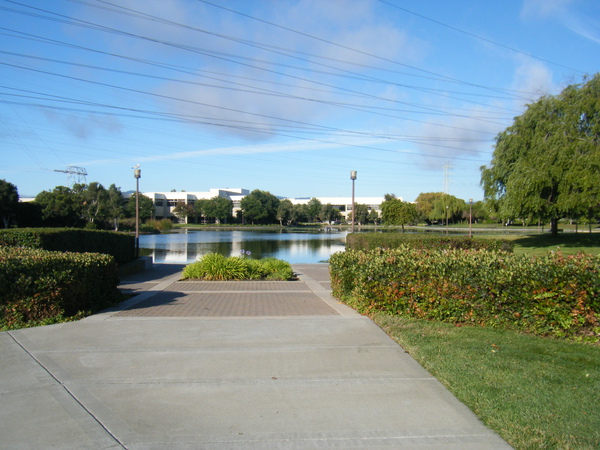 DSCF4584.JPG
