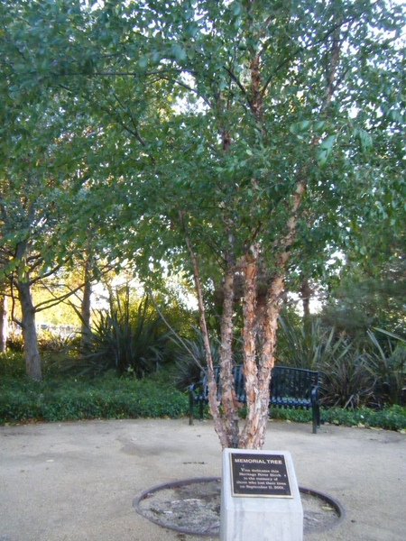 DSCF4588.jpg