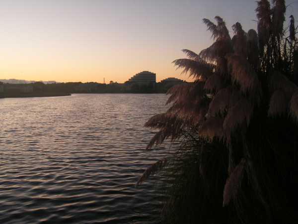 DSCF4608.JPG