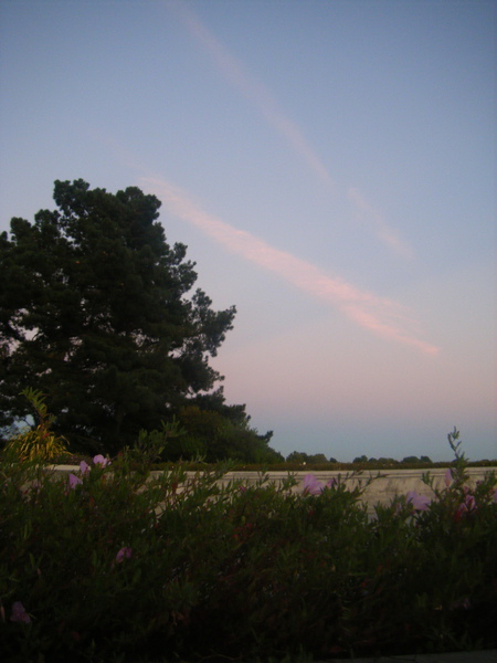DSCF4610.jpg