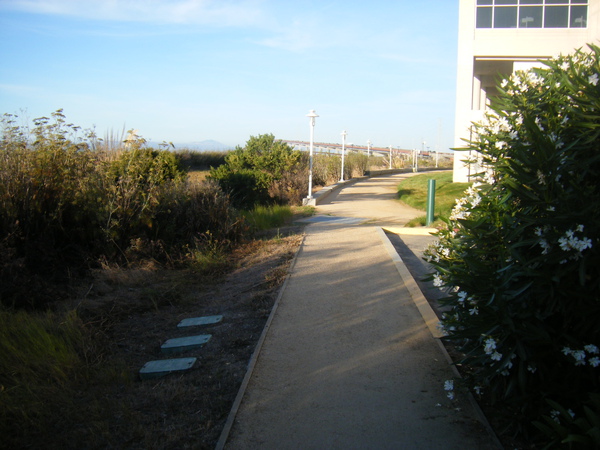 DSCF4669.JPG