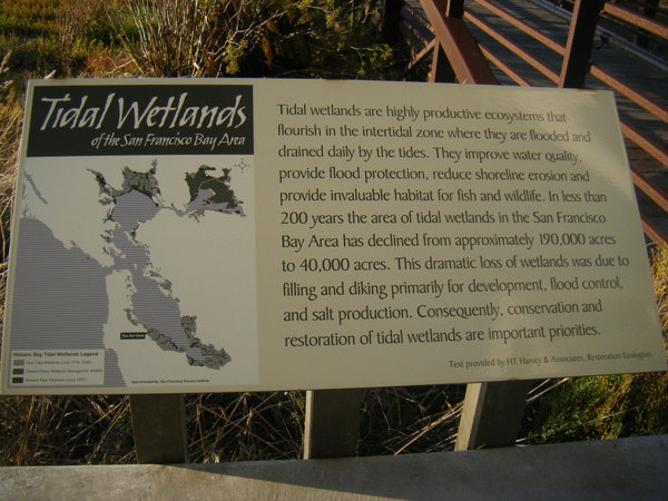 DSCF4670.JPG