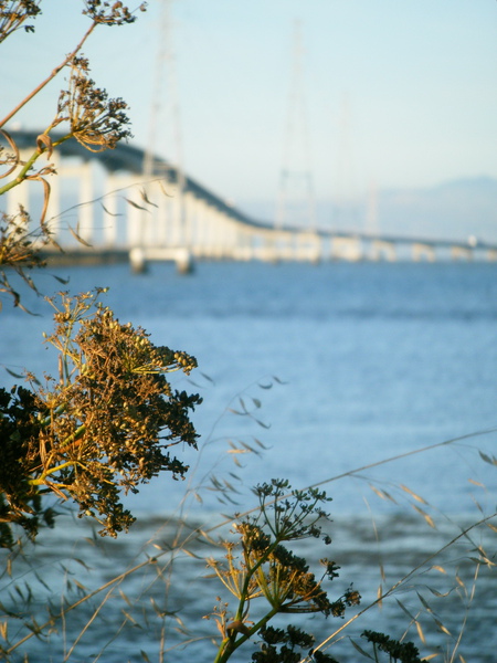 DSCF4690.jpg