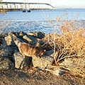 DSCF4692.JPG