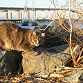 DSCF4695.JPG