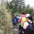 CIMG2125.JPG