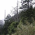 CIMG2131.JPG