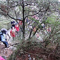 CIMG2168.JPG