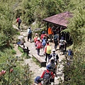CIMG2185.JPG