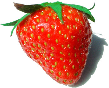 FraiseFruitPhoto.jpg FraiseFruitPhoto.jpg