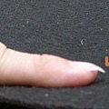 finger1.jpg