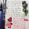 20150722 Diamine Evergreen, R&K Morinda 桑葚紅