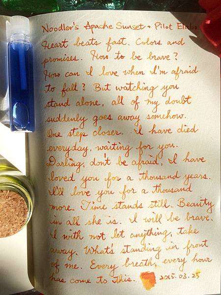 Noodler Noodler