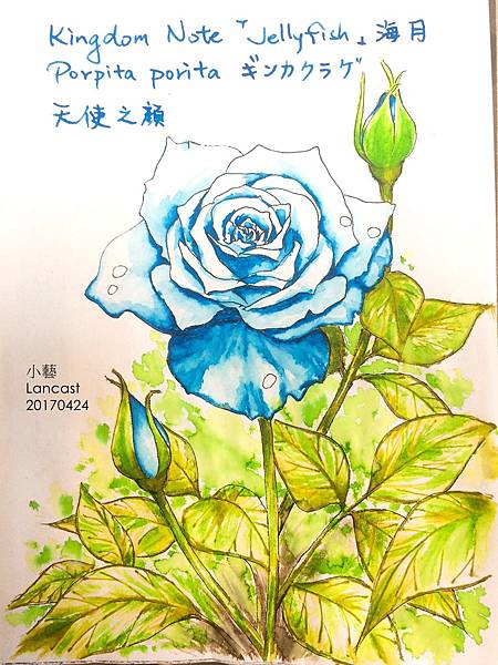 20170510a 玫瑰%26;墨水 20170510a 玫瑰%26;墨水