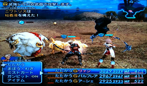FF12_大肉雞-大草原的小愛心 FF12_大肉雞-大草原的小愛心